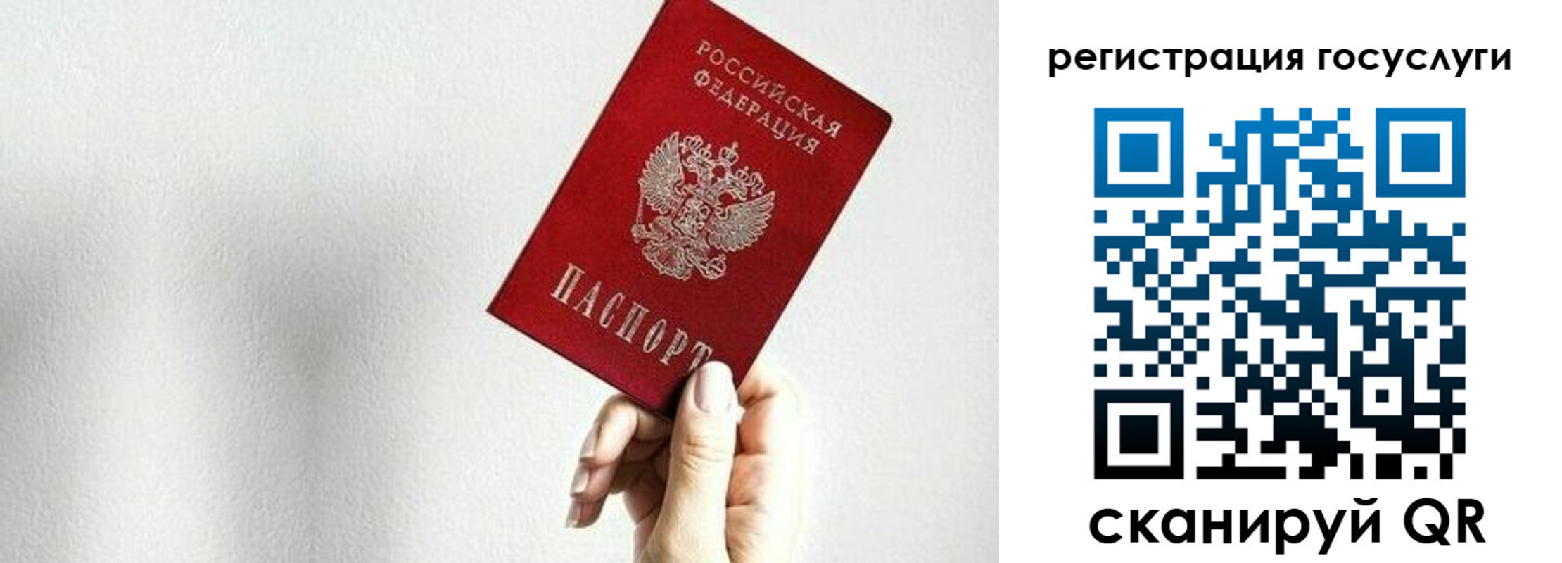 временная регистрация гарантия в Светлом